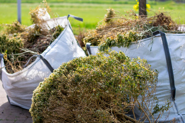Demolition Debris Removal in Cottage Grove, OR